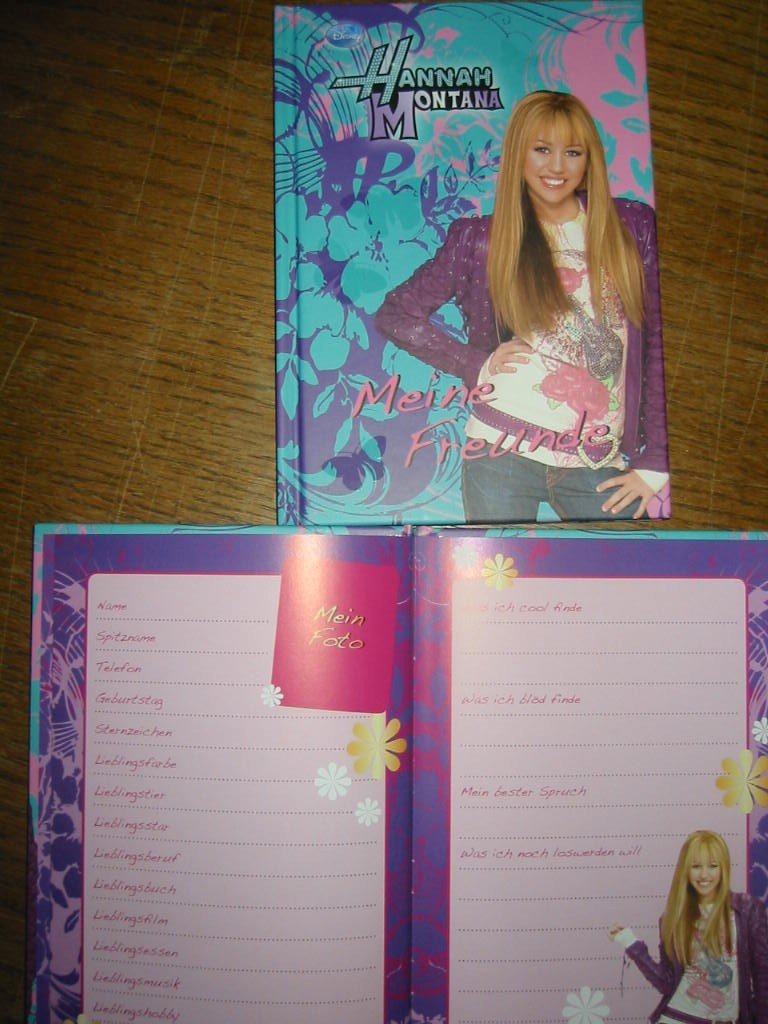 Hamelin Paperbrands GmbH 327503210 - Hannah Montana Freundebuch Books