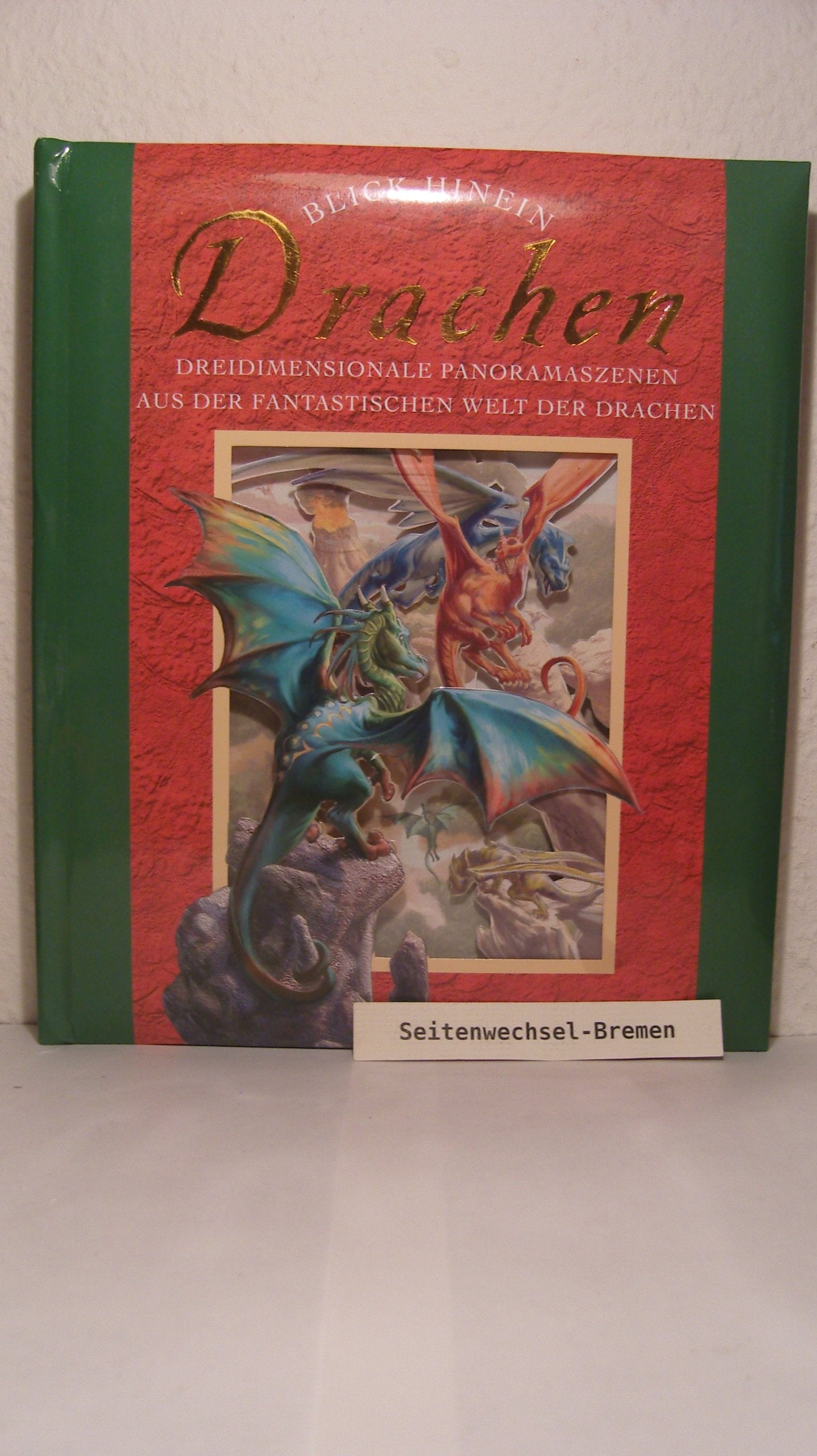 Blick heinein . Drachen . Dreidimensionale Panoramaszenen aus der fantastischen Welt der Drachen. Books