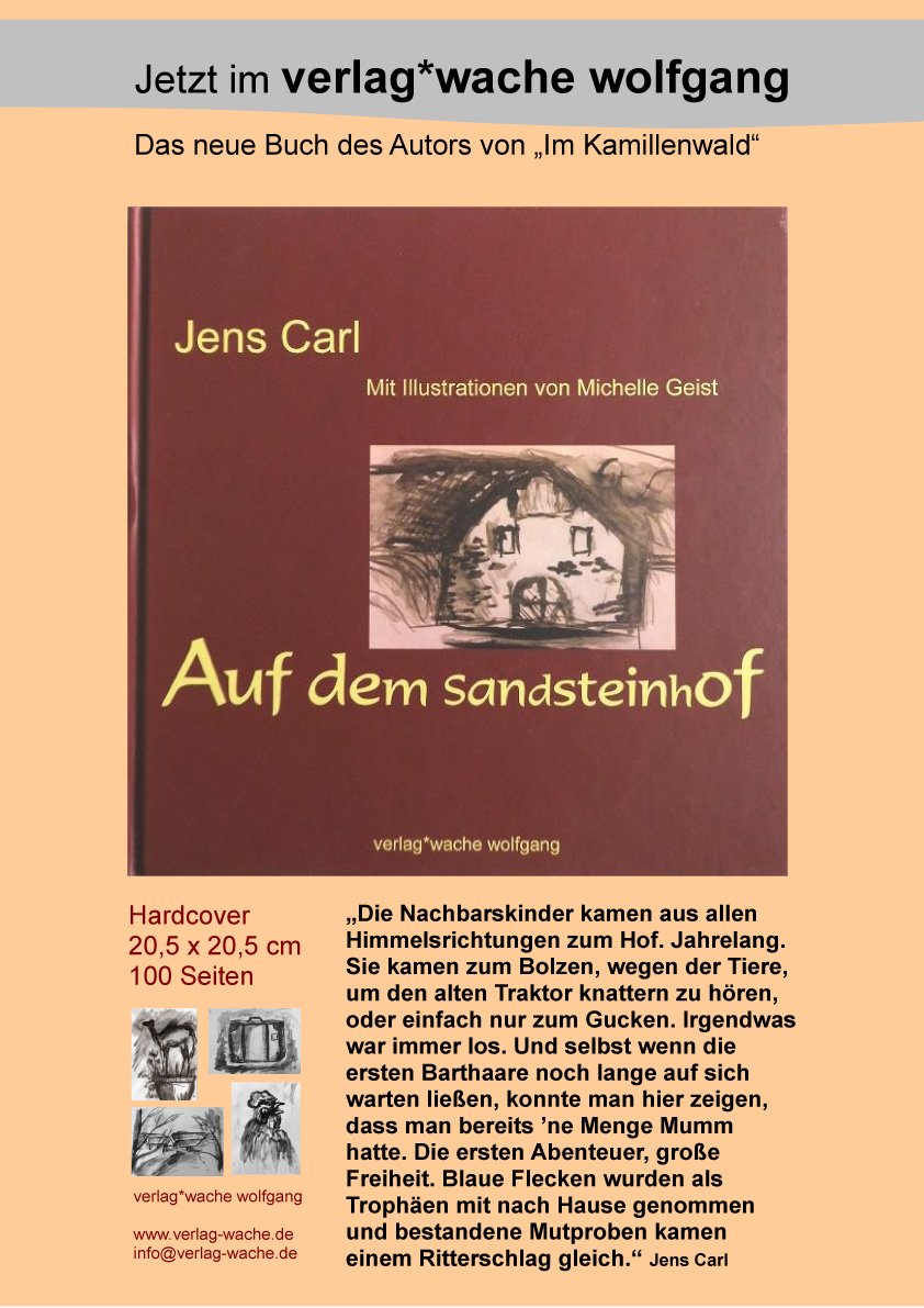 Auf dem Sandsteinhof: Mit Illustrationen von Michelle Geist Contemporary literature