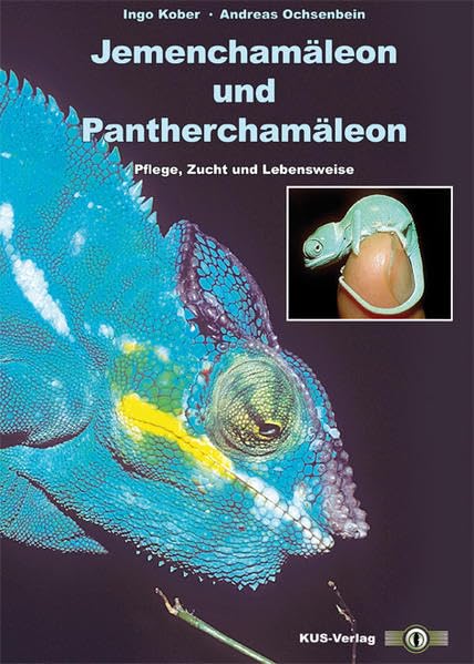 Jemenchamäleon und Pantherchamäleon Pets