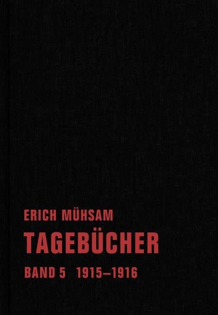 Tagebücher: Band 5. 1915-1916 (Tagebücher Bd. 1-15) Essays & Short Stories
