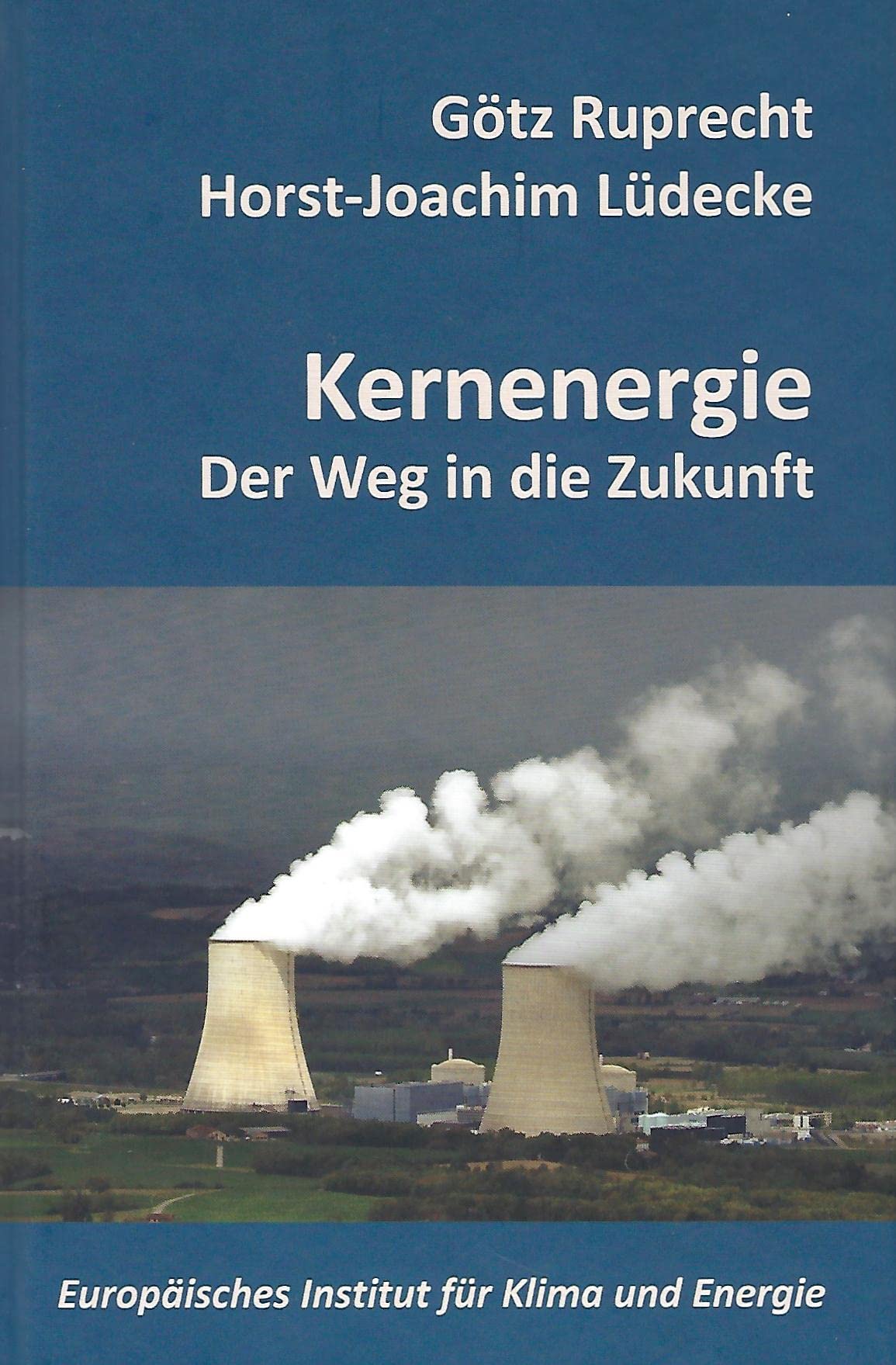 Kernenergie: Der Weg in die Zukunft (Schriftenreihe des Europäischen Instituts für Klima und Energie) Leisure, Home & Garden