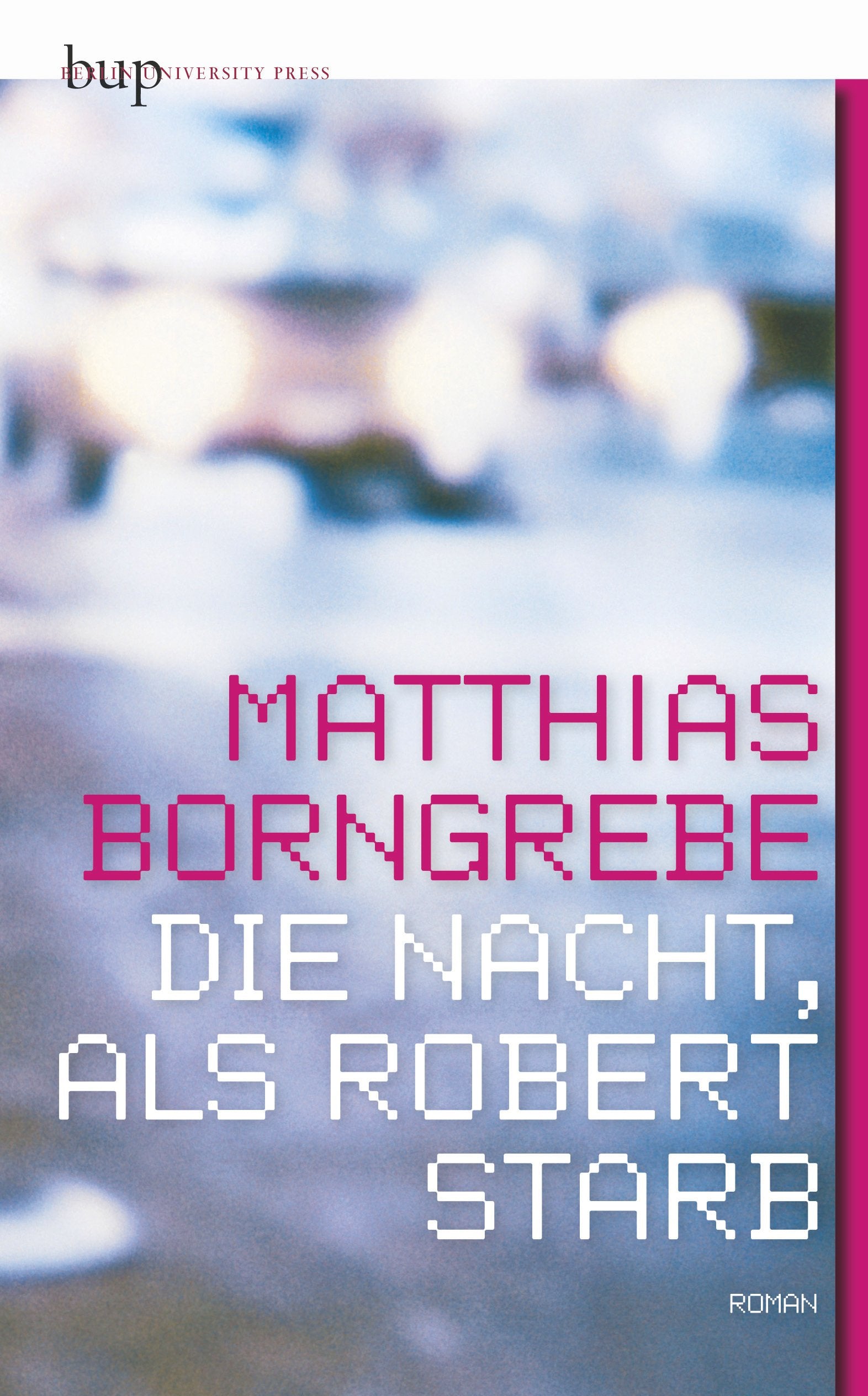 Die Nacht, als Robert starb: Roman Contemporary literature