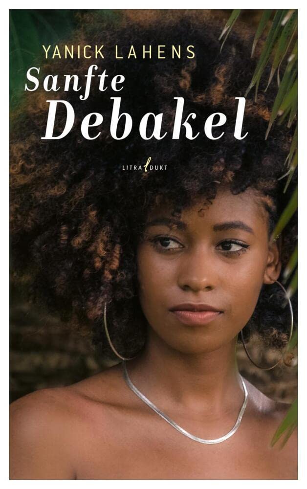 Sanfte Debakel Contemporary literature Books