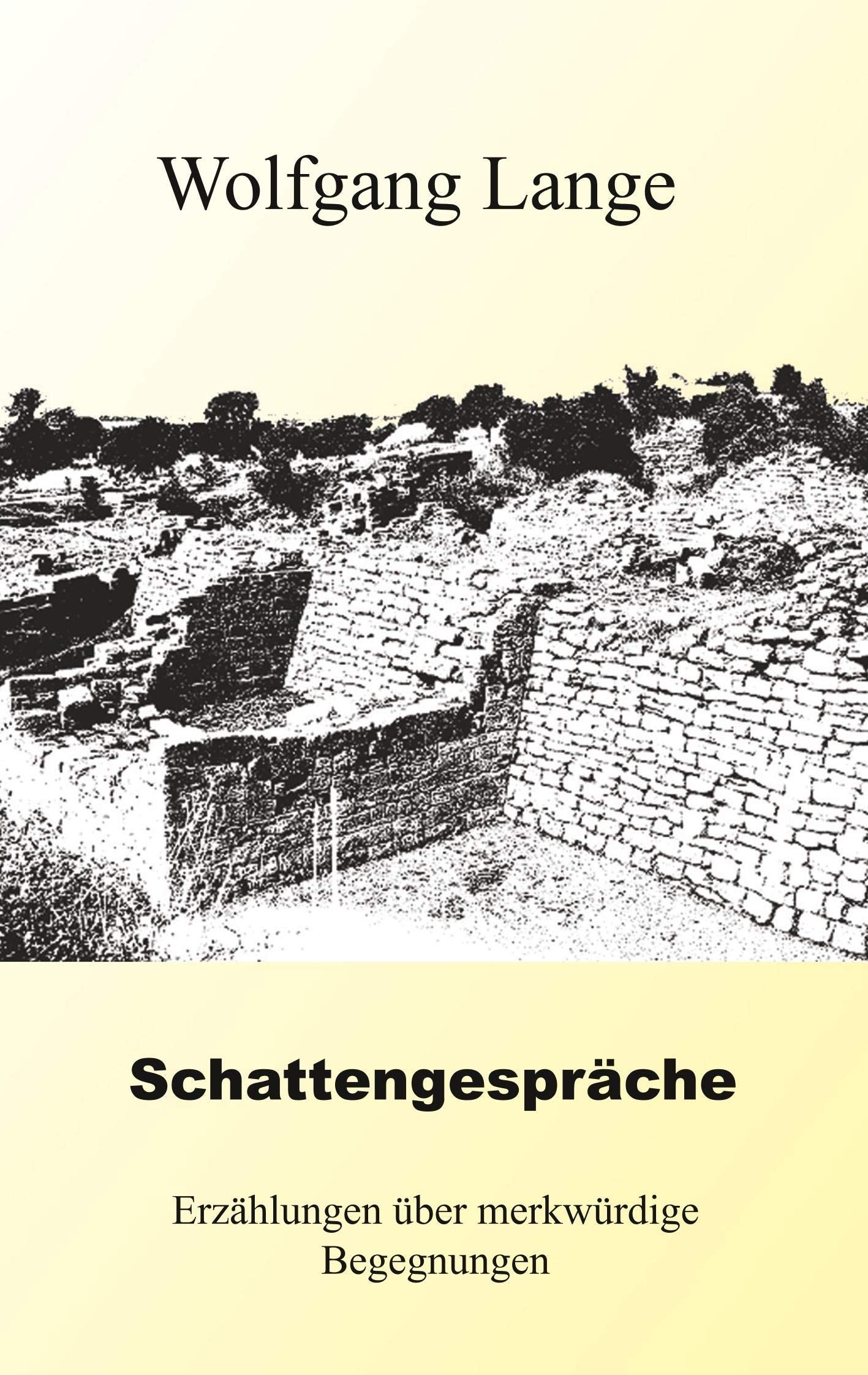 Schattengespräche: Erzählungen über merkwürdige Begegnungen Contemporary literature