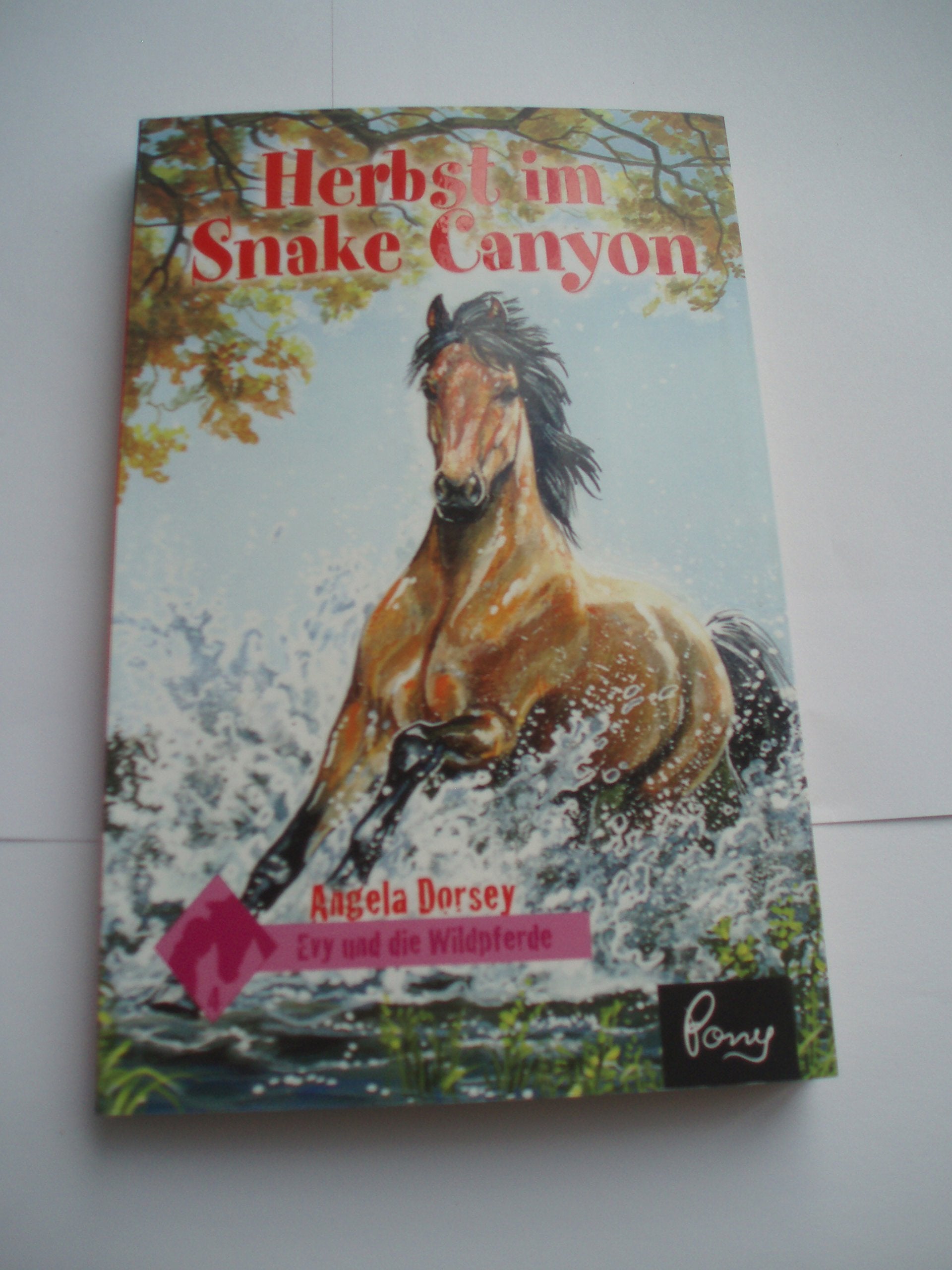 Herbst im snake canyon. Evy und die Wildpferde 4 Books