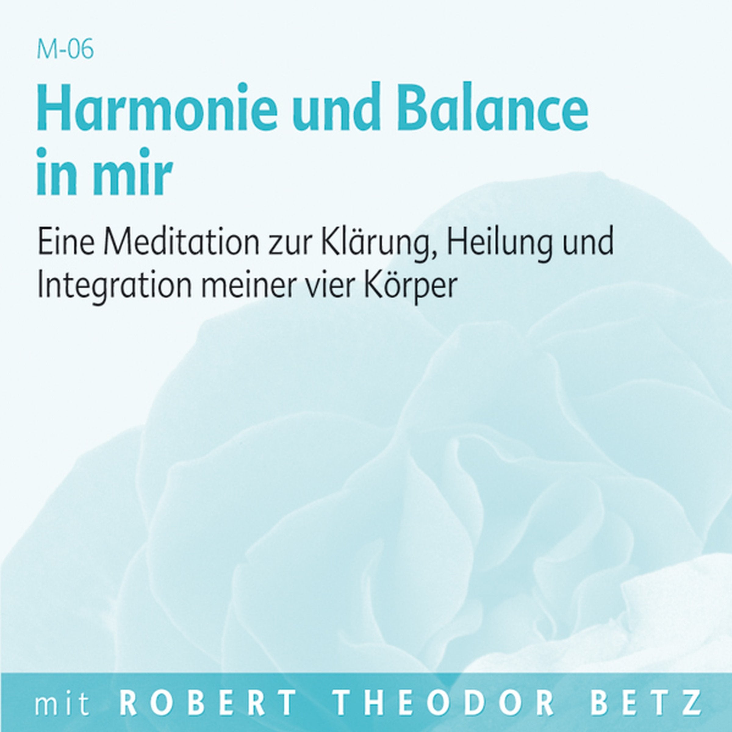 Harmonie und Balance in mir: Eine Meditation zur Klärung, Heilung und Integration meiner vier Körper. Meditations-CD Lifestyle