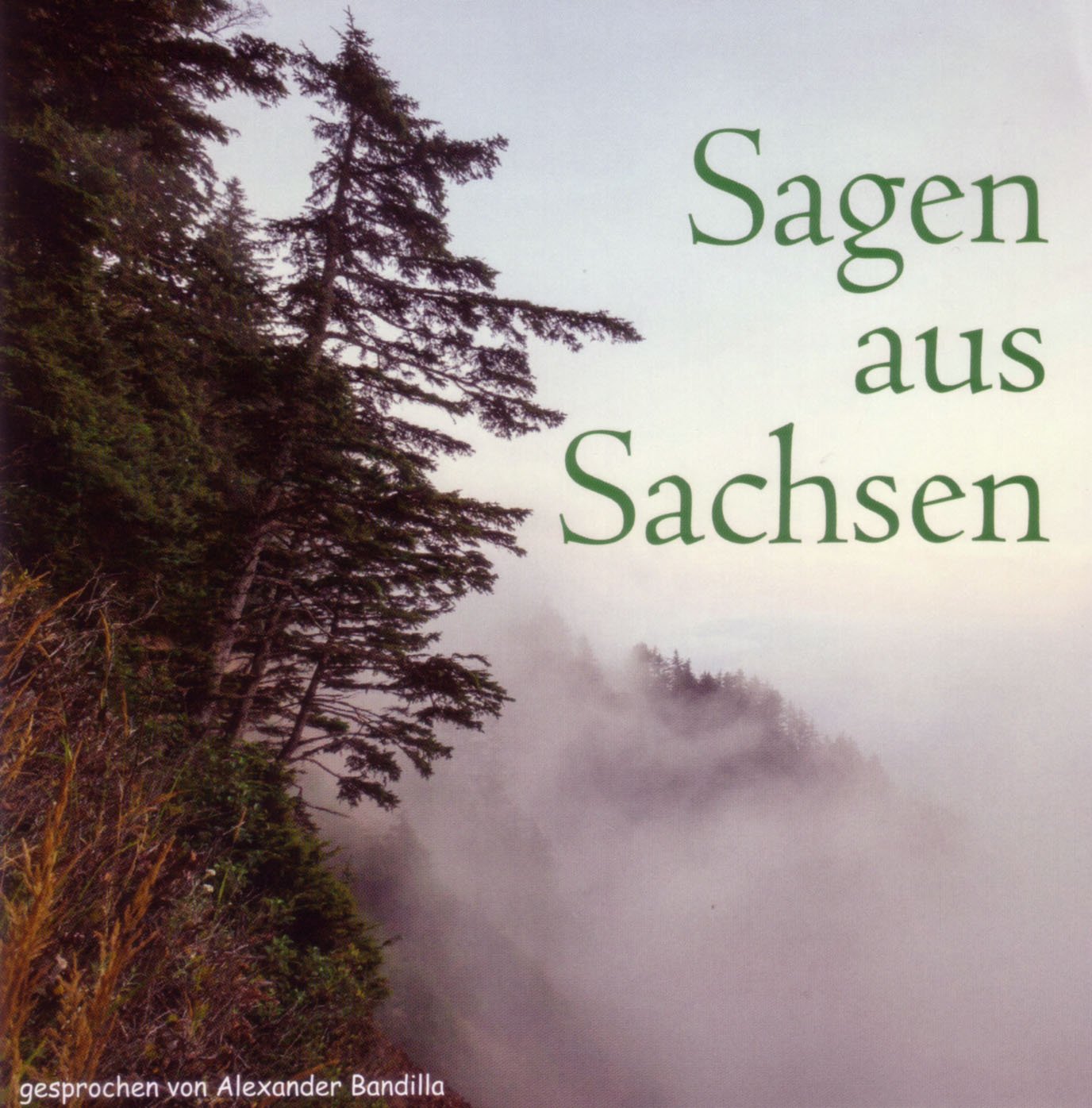 Sagen aus Sachsen Books