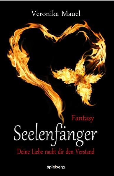 Seelenfänger: Deine Liebe raubt dir den Verstand Contemporary literature