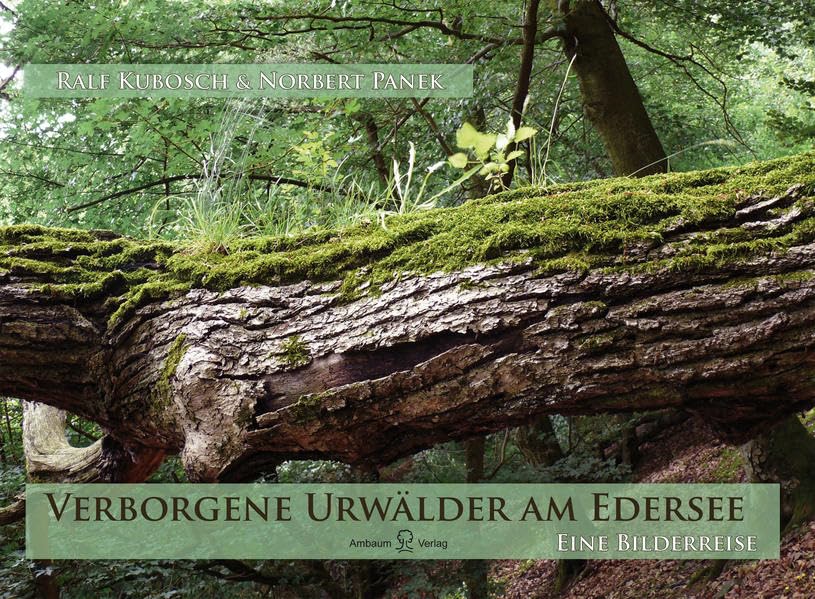 Verborgene Urwälder am Edersee: Eine Bilderreise Geology & Geography