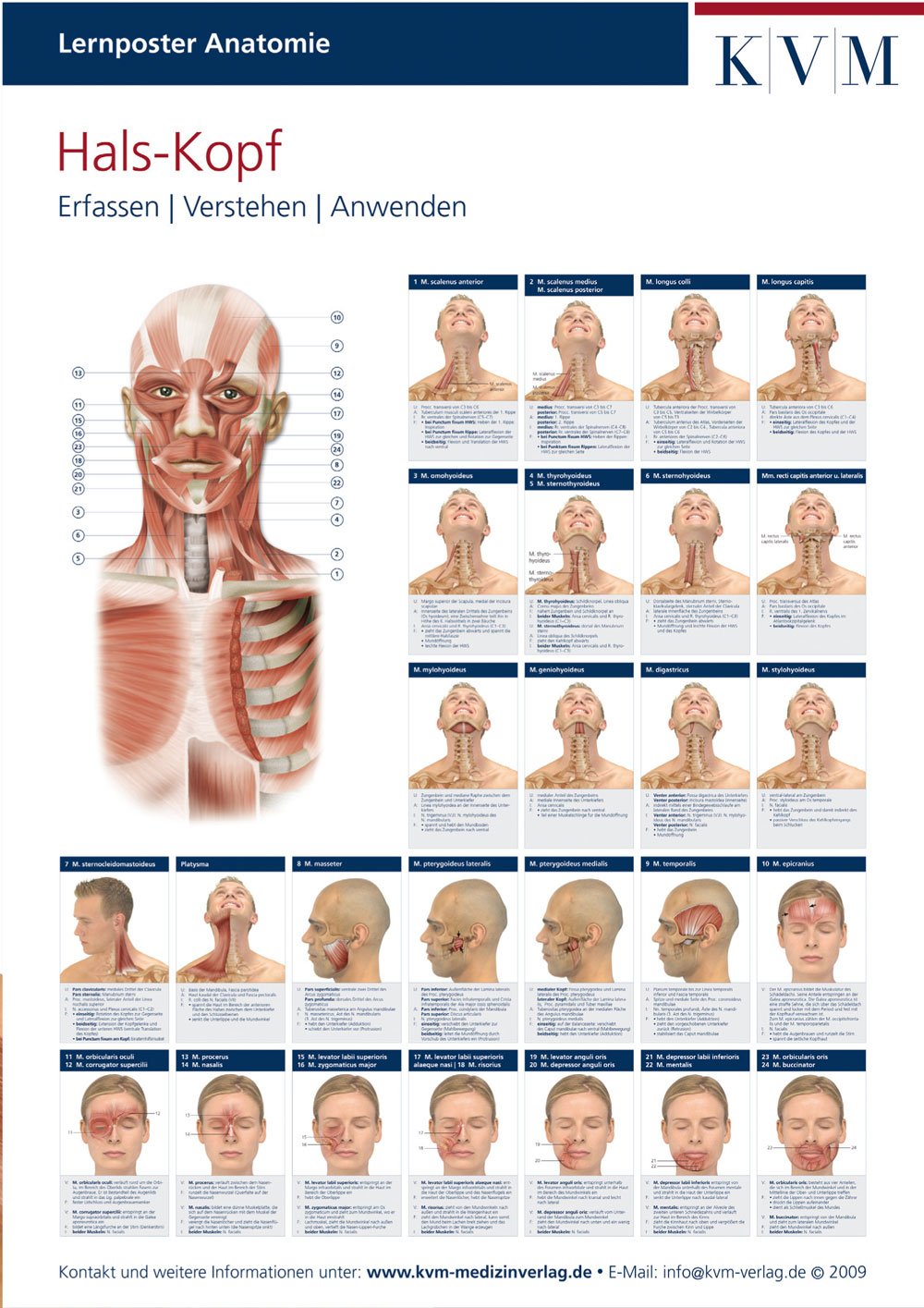 Lernposter Anatomie-Muskulatur: Region Hals-Kopf (Die Muskelbuch-Reihe) Medicine