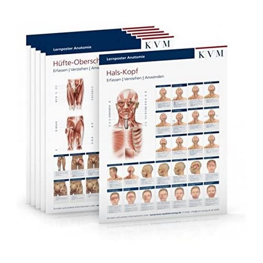 Lernposter Anatomie - Muskulatur book