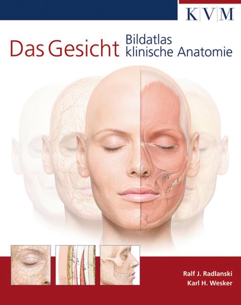 Das Gesicht: Bildatlas klinische Anatomie Medicine