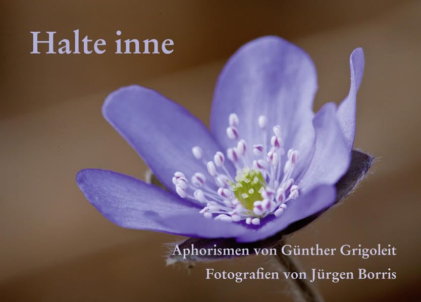Halte inne: "Aphorismen von Günther Grigoleit, Fotografien von Jürgen Borris Contemporary literature