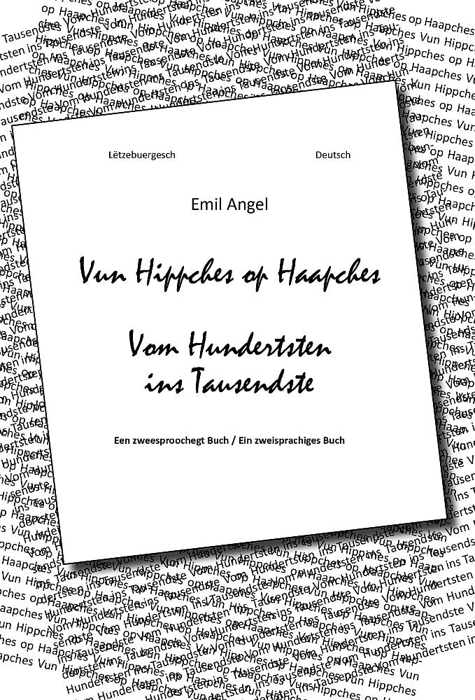 Vun Hippches op Haapches - Vom Hundertsten ins Tausendste: Luxemburgisch /Deutsch book