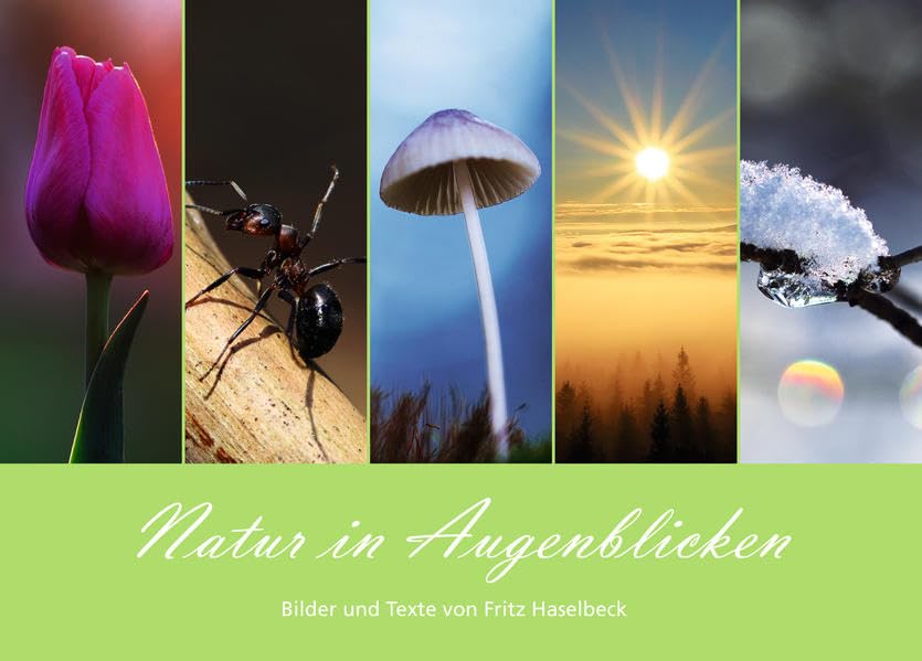 Natur in Augenblicken: Bilder und Texte von Fritz Haselbeck Film, Art & Culture