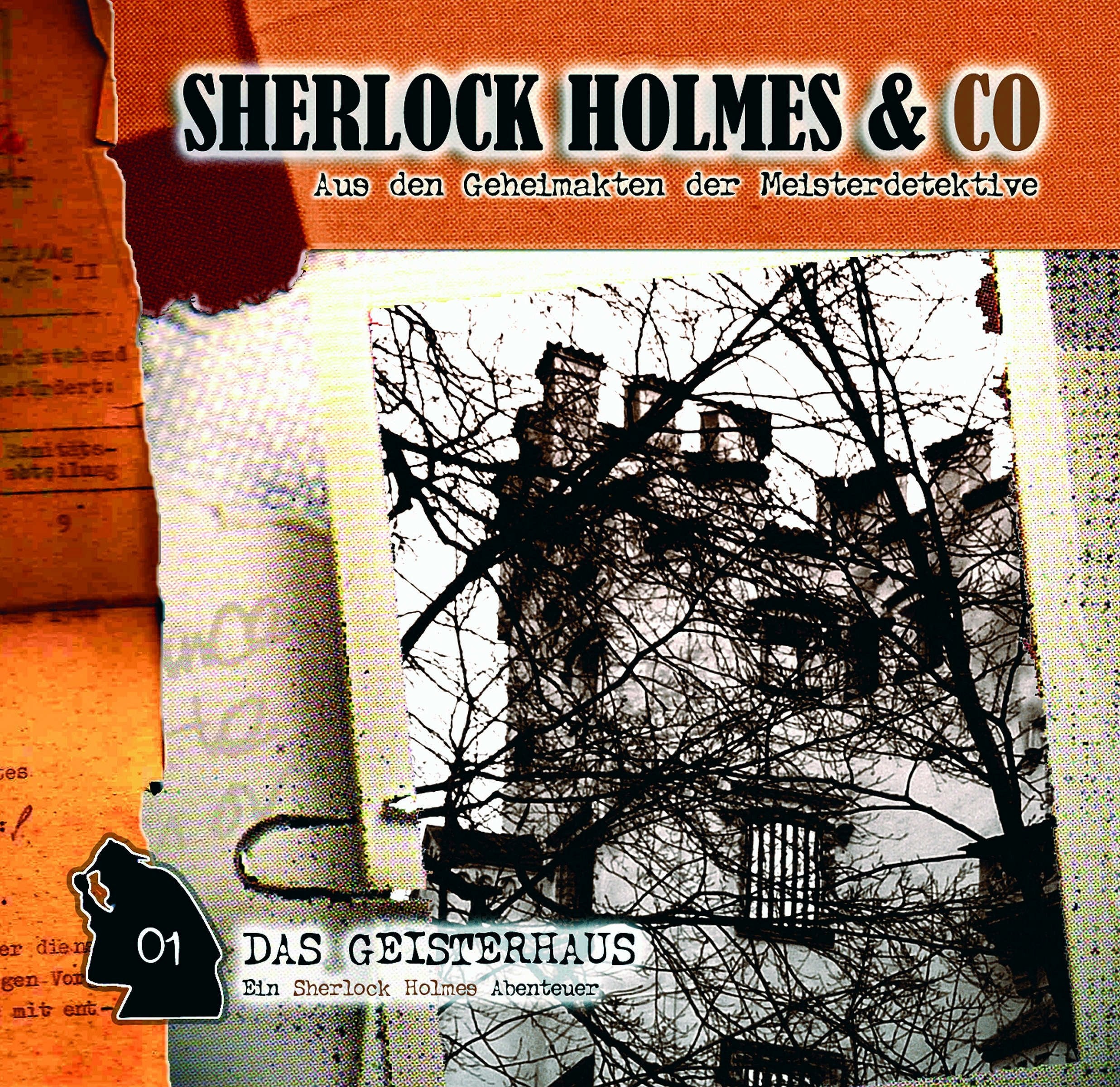 Sherlock Holmes & Co, 1: Das Geisterhaus Radio Plays