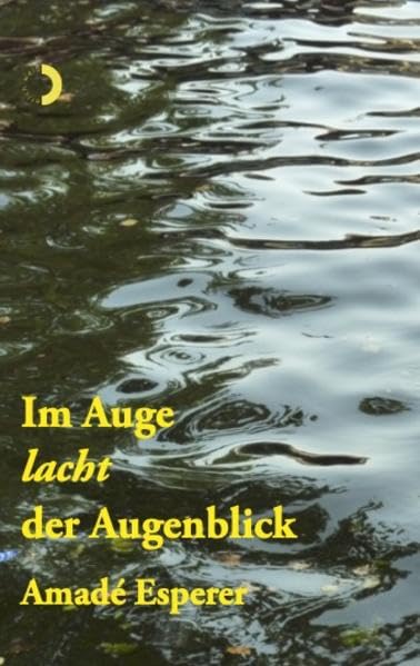 Im Auge lacht der Augenblick Contemporary literature