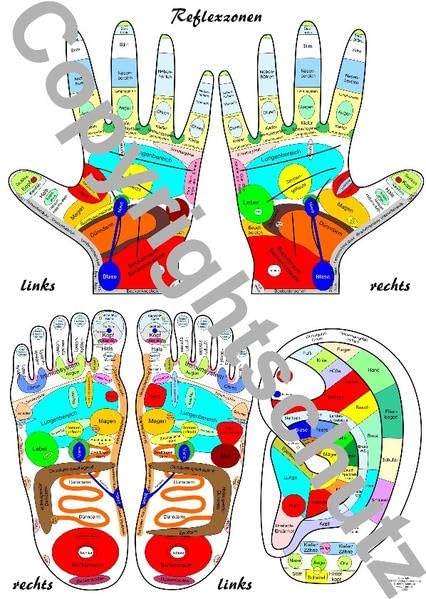 Product Image: Reflexzonenübersicht