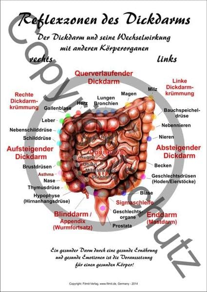 Product Image: Reflexzonen des Dickdarms