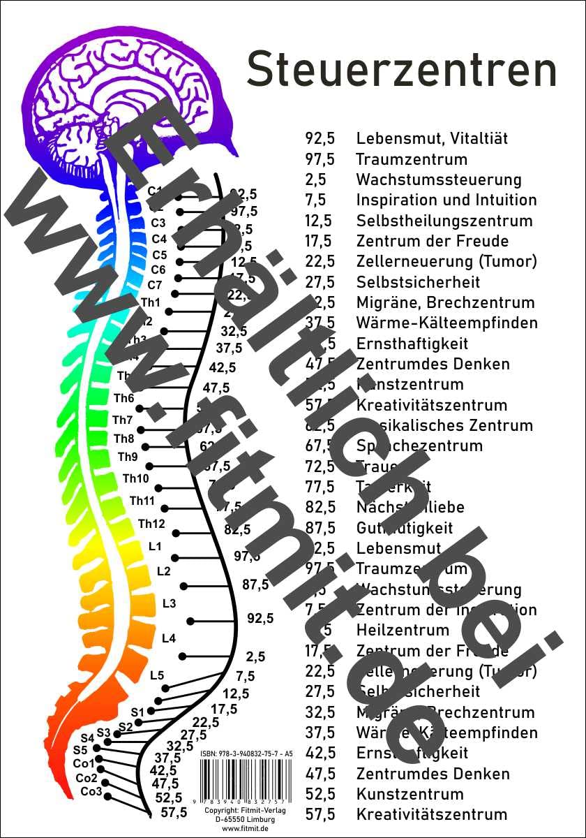 Steuerzentren Wirbelsäule Health, Nutrition & Fitness