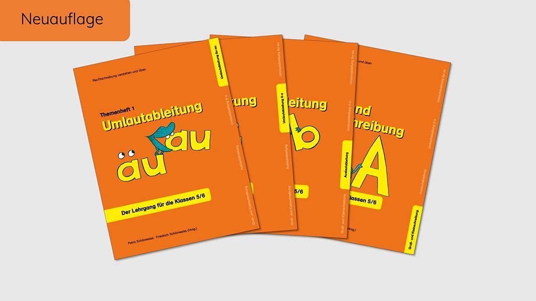 Themenheft-Sammelband 1: Der Lehrgang für die Klassen 5 und 6 (Rechtschreibung verstehen und üben: Themenhefte für die Klassen 5 und 6: Lernserver der Uni Münster-Individuelle Förderung) Non-fiction