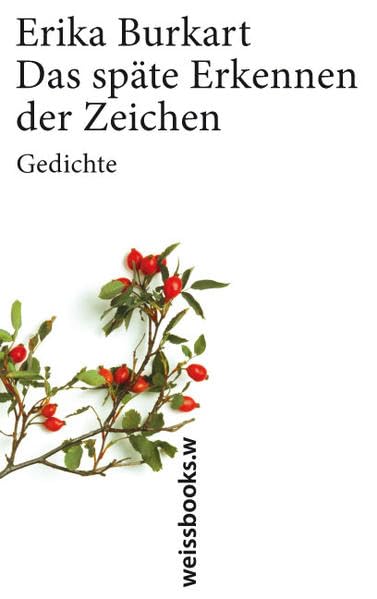 Das späte Erkennen der Zeichen Poetry