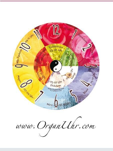 Die Organuhr nach der traditionell chinesischen Medizin - Das Booklet zur Wanduhr: www.organuhr.com Medicine