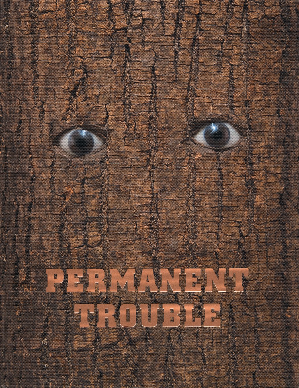 Permanent Trouble - Aktuelle Kunst aus der Sammlung Kopp München - Contemporary Art from the Kopp Collection Munich: Recent Art from the Kopp Collection, Munich Film, Art & Culture