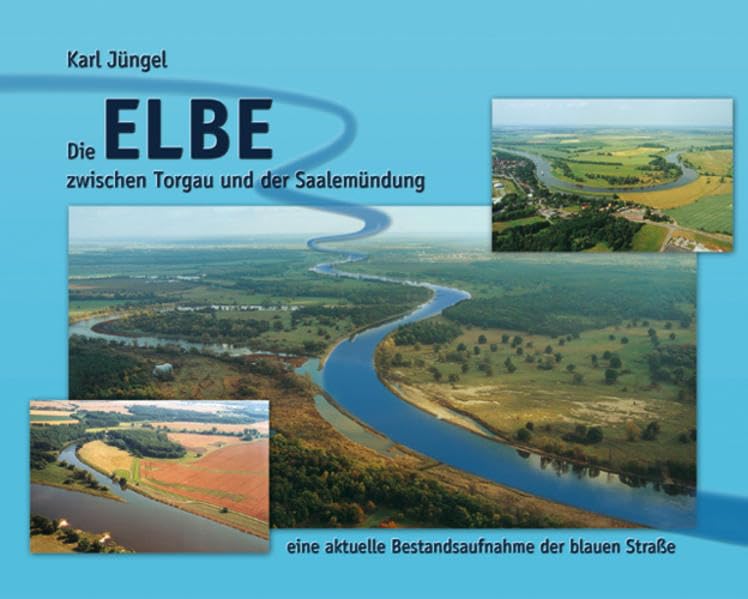 Die Elbe zwischen Torgau und der Saalemündung: Eine aktuelle Bestandsaufnahme der blauen Straße (Die Elbe aktuell) Natural Sciences
