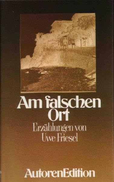 Am falschen Ort: Erzählungen Essays & Short Stories
