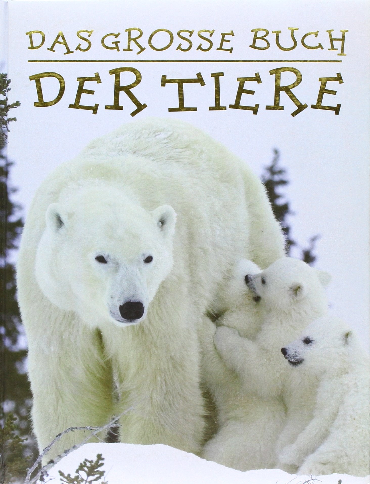 Wissen - Das grosse Buch der Tiere Children's books