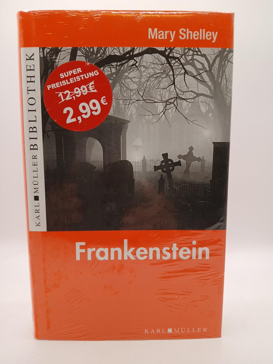 Frankenstein oder Der moderne Prometheus. Roman. Contemporary literature Books