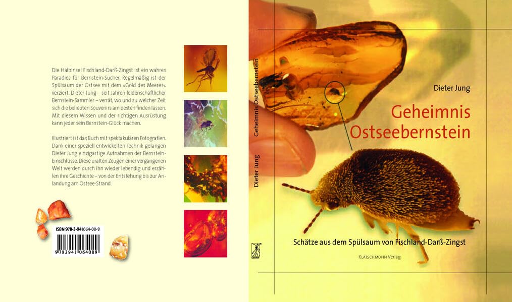 Geheimnis Ostseebernstein book