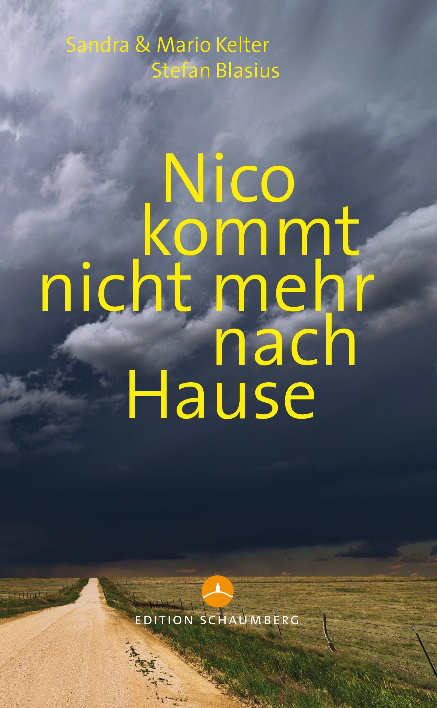 Nico kommt nicht mehr nach Hause Contemporary literature