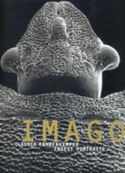 IMAGO: Claudia Fährenkemper - Insect Portraits Film, Art & Culture