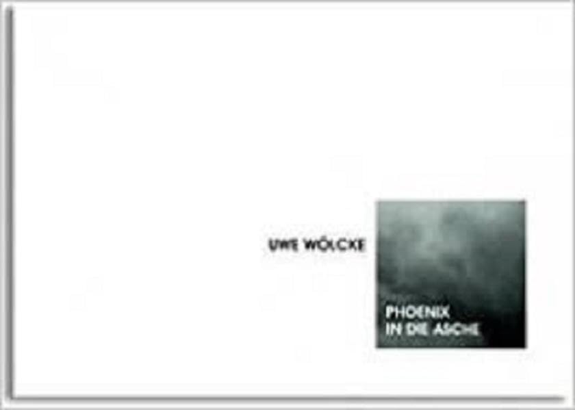 Uwe Wölcke - Phoenix in die Asche: Von der Funktion zur Form in der Arbeitswelt Medicine