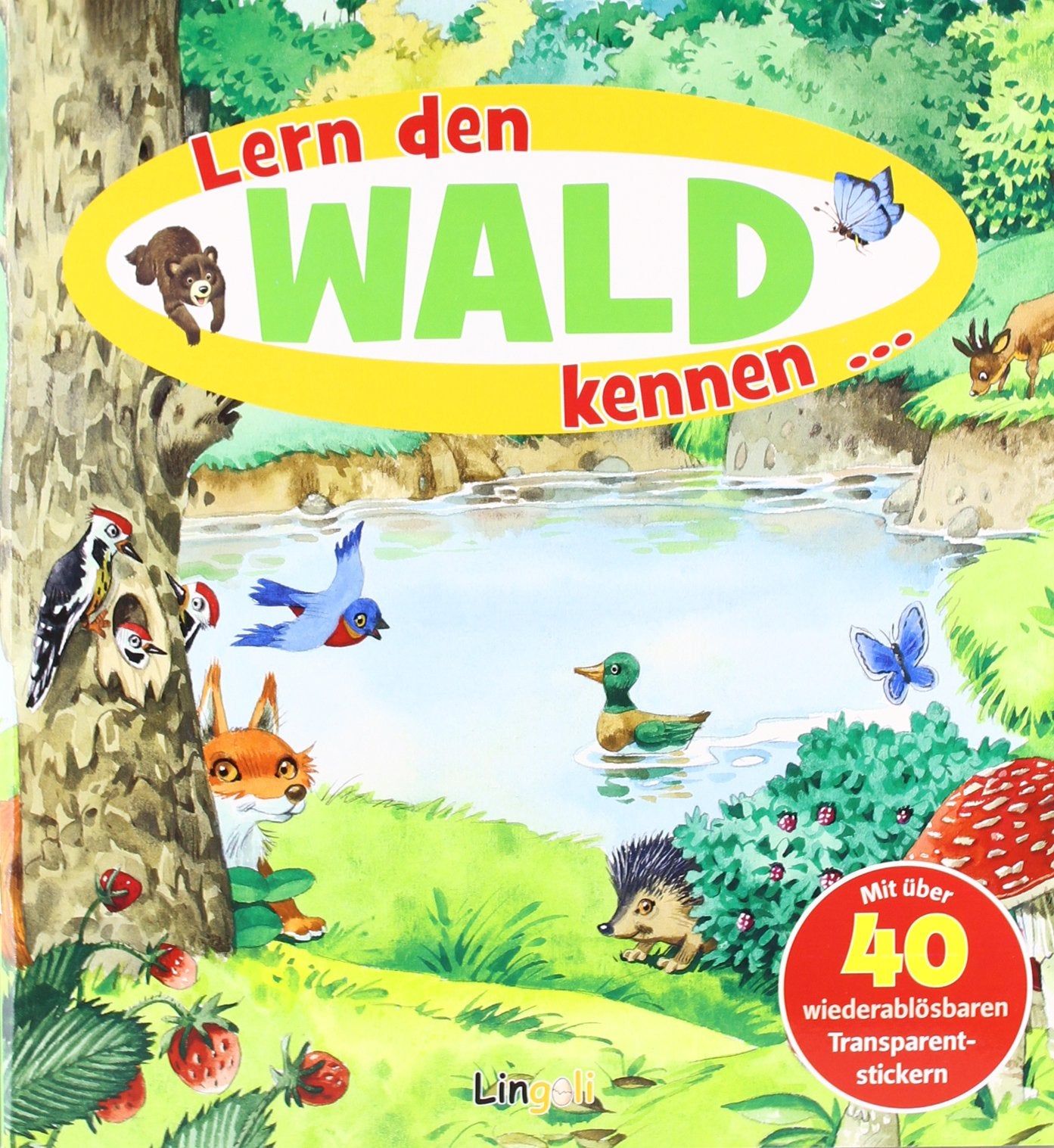 Lern den Wald kennen...: Mit über 40 wiederablösbaren Transparentstickern (Lingoli) Leisure, Home & Garden