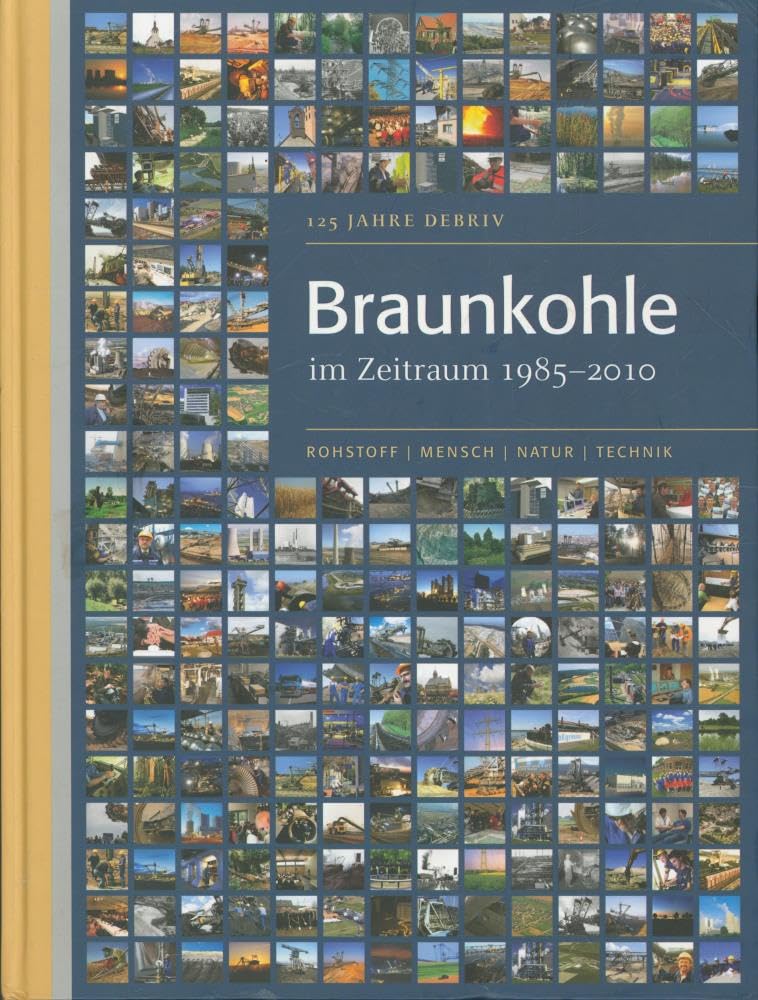 Braunkohle im Zeitraum 1985-2010: 125 Jahre DEBRIV: 125 Jahre DEBRIV. Hrsg.: Deutscher Braunkohlen-Industrie-Verein e. V. Business & Technology