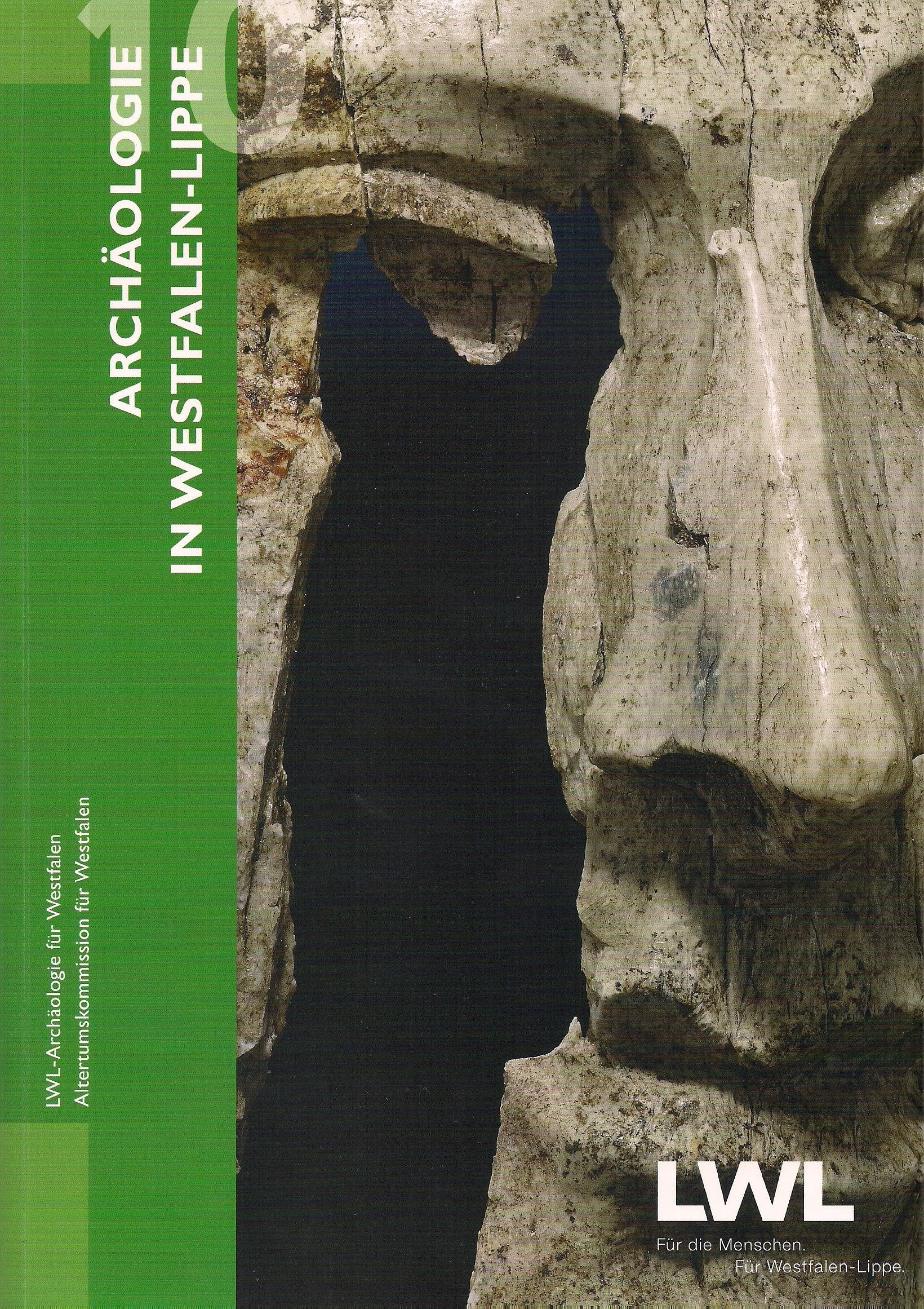 Archäologie in Westfalen-Lippe 2010 (Band 2) - Lutz Koch book