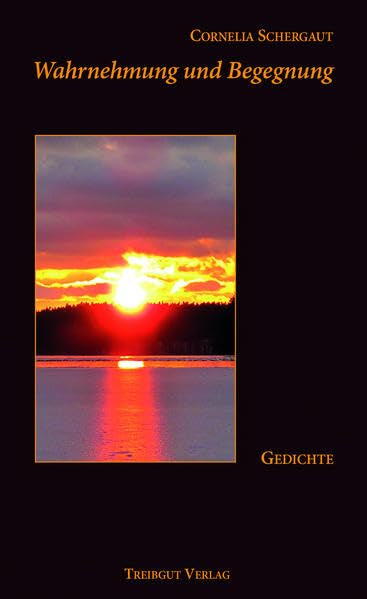 Wahrnehmung und Begegnung / Gedichte book