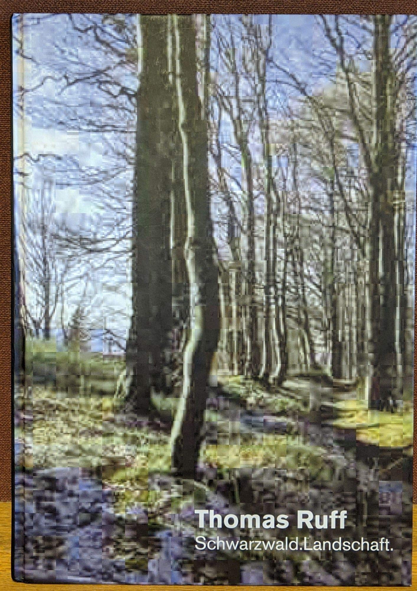 Thomas Ruff. Schwarzwald. Landschaft: Katalog zur Ausstellung im Museum für Neue Kunst, Städtische Museen Freiburg, 2009 Photography