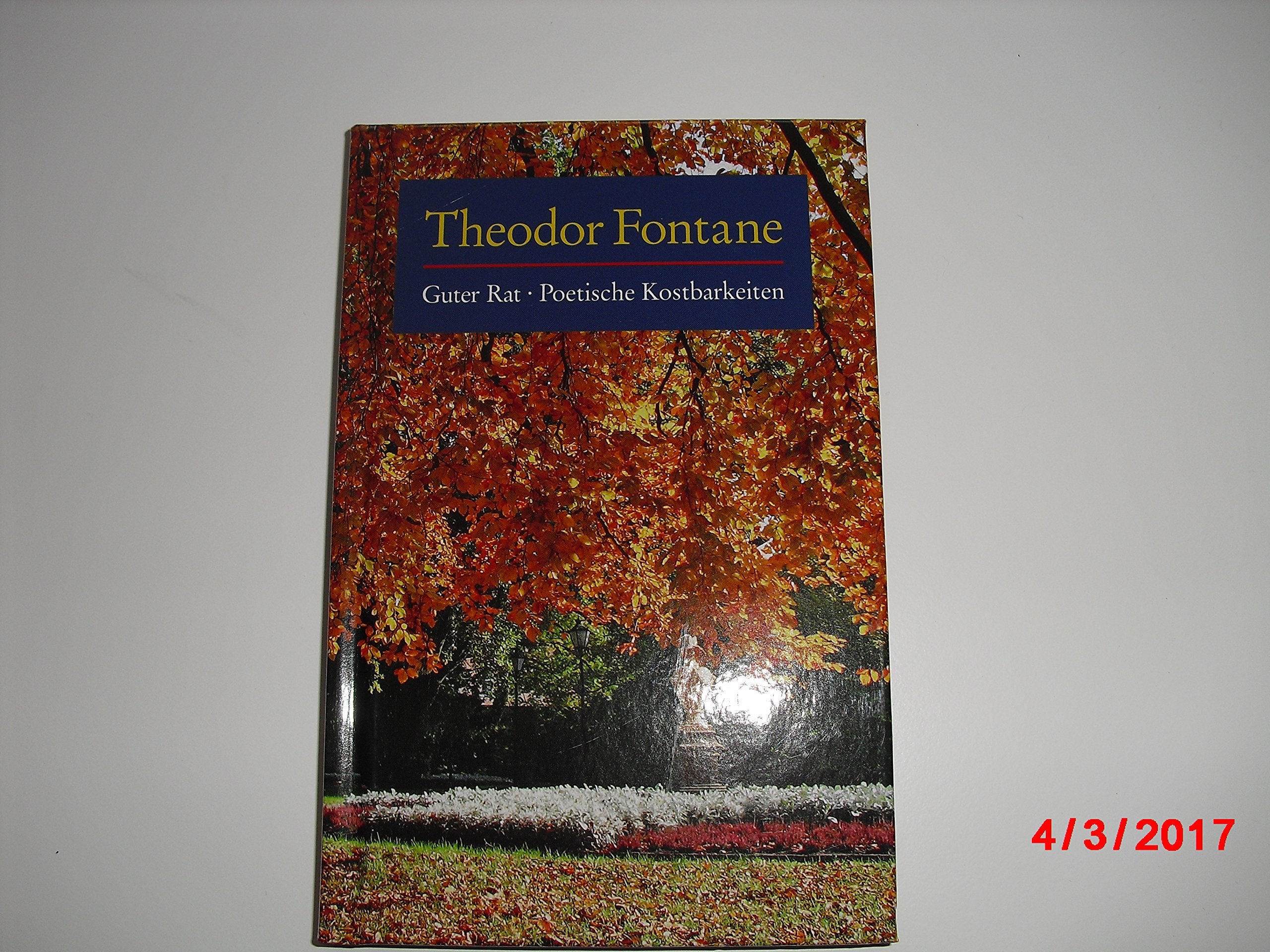 Fontane, T.: Guter Rat Books