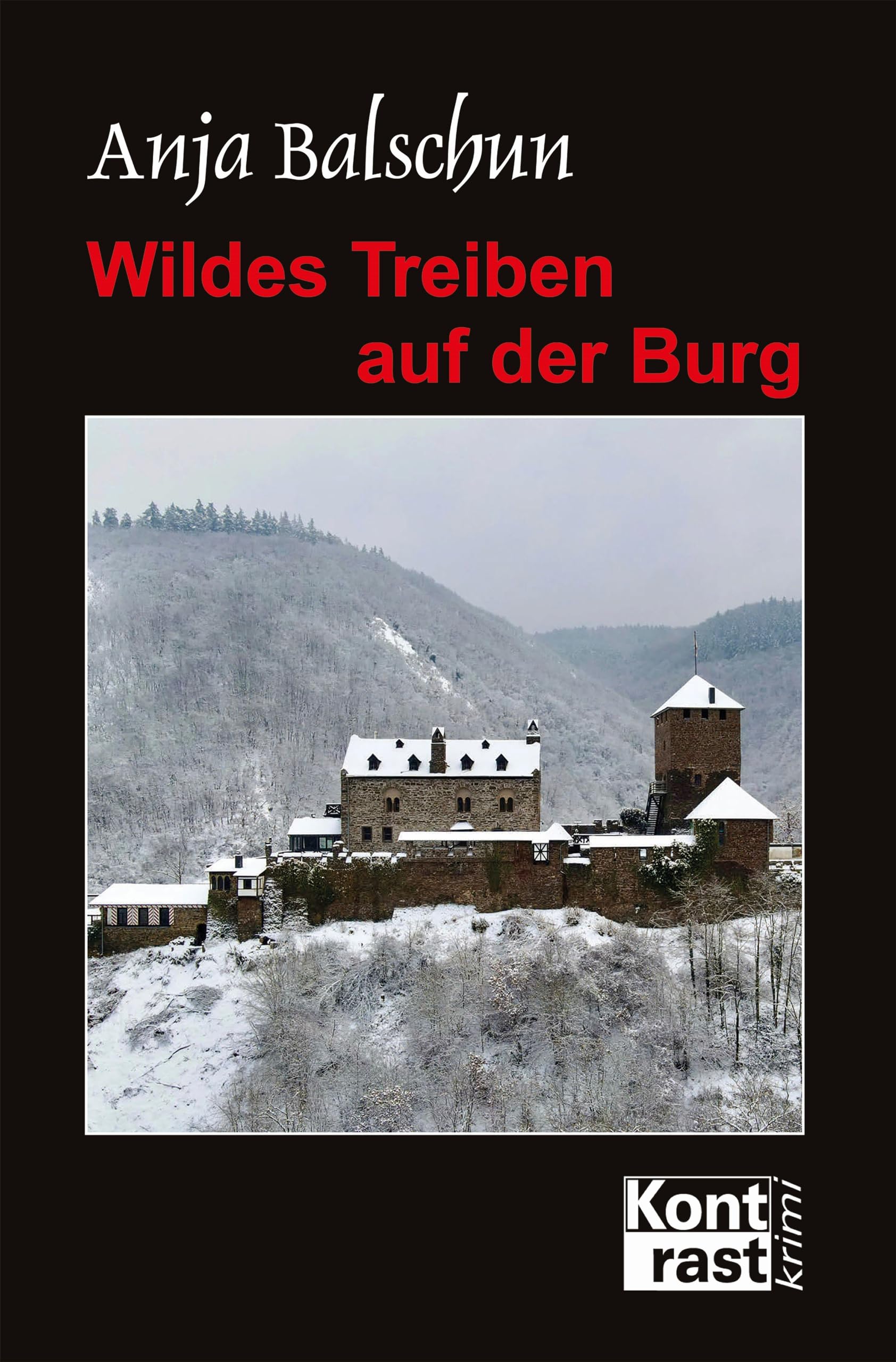 Wildes Treiben auf der Burg book