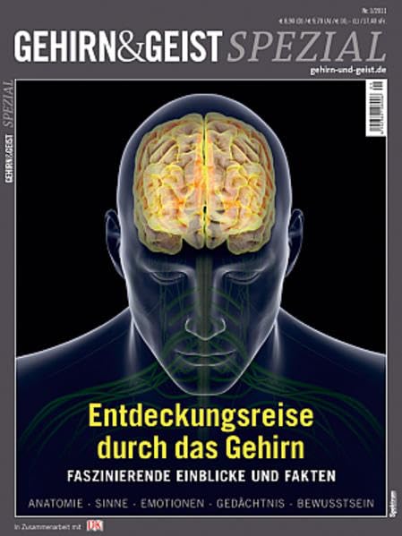 Entdeckungsreise durch das Gehirn: Faszinierende Einblicke und Fakten book