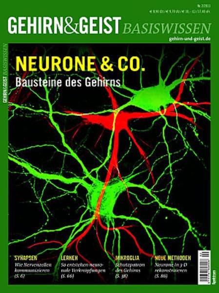 Neurone & Co.: Bausteine des Gehirns (Gehirn&Geist Basiswissen) Natural Sciences