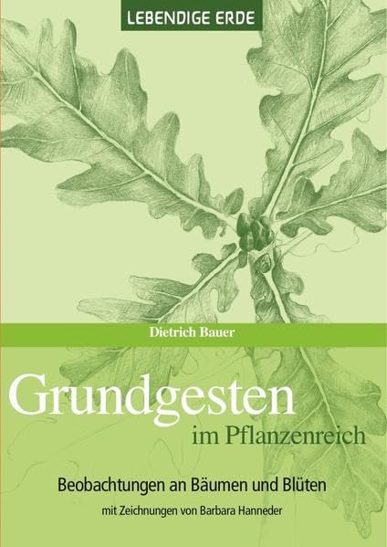 Grundgesten im Pflanzenreich: Beobachtungen an Pflanzen und Bäumen. Mit Zeichnungen von Barbara Hanneder Natural Sciences