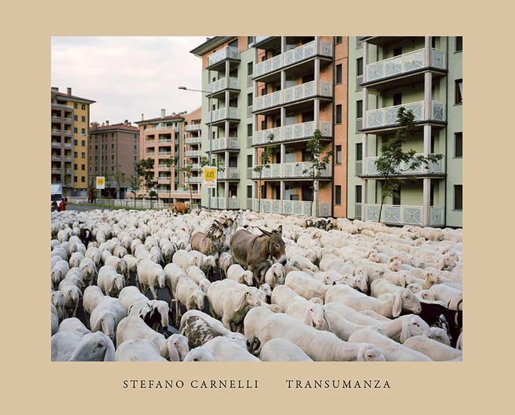 Transumanza: An Italian Pastoral Photography