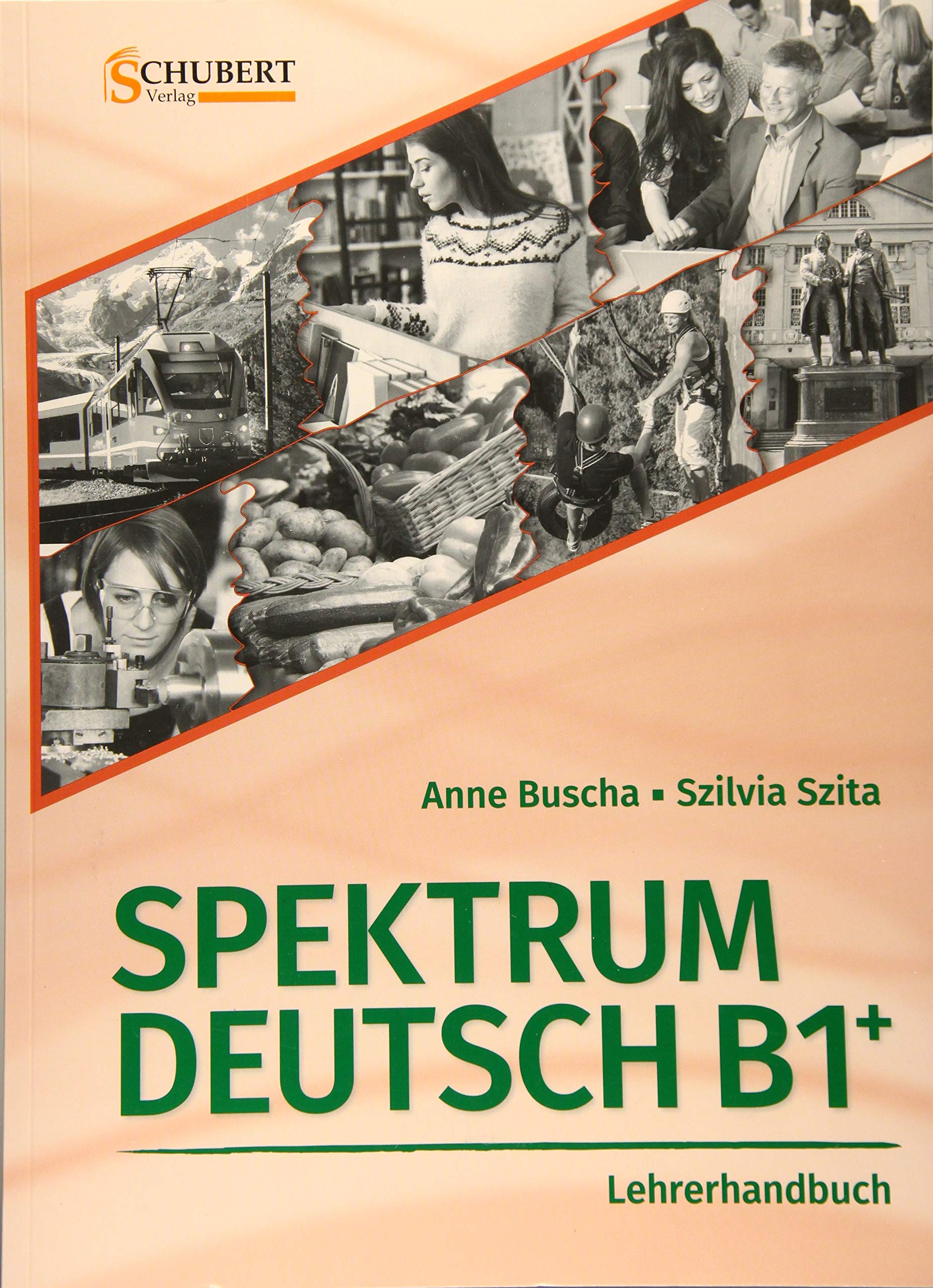 Spektrum Deutsch B1+: Lehrerhandbuch Foreign Languages ​​& Dictionaries