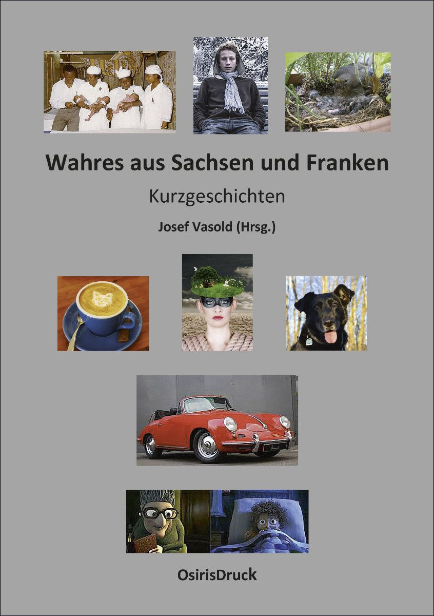 Wahres aus Sachsen und Franken: Kurzgeschichten book